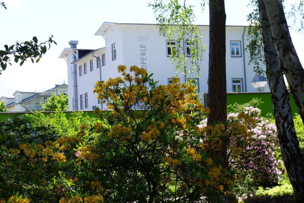 Hotel Waldperle 그랄뮈리츠 외부 사진